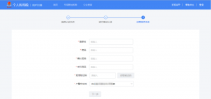 个人所得税网页版(个人所得税网页版上怎么申报)