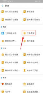 个人所得税查询(个人所得税查询app)