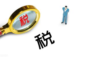 个人所得税返税(个人所得税返税给个人)