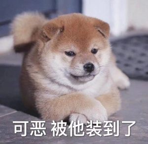 淘宝优惠码 怎么用插图 淘宝优惠码 怎么用