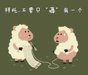 菜鸟裹裹优惠码(菜鸟裹裹优惠码2021)