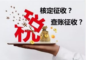 独资企业个人所得税(独资企业个人所得税申报)