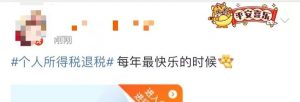 四川个人所得税(四川个人所得税app)