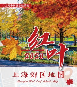 个税计算器 上海