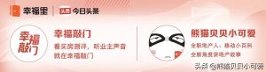 房贷摊销计算器(房贷摊销计算器公式)