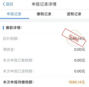 个人所得税 滞纳金