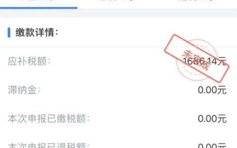 个人所得税 滞纳金