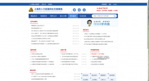 查个人所得税(查个人所得税电话是多少)