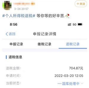 个人所得税app下载(个人所得税app下载国家税务总局)