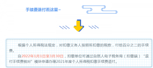 个人所得税手续费(个人所得税手续费返还会计处理)