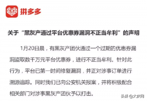 拼多多二维码优惠券(拼多多商品优惠券)