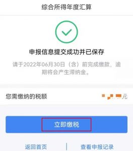 个人所得税app下载(个人所得税app下载国家税务总局)