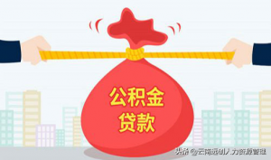 上海公积金计算器(上海公积金计算器2020最新)