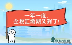 个人所得税文件(个人所得税文件密码)