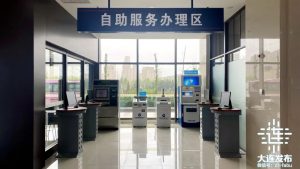 个人所得税怎么查(个人所得税怎么查社保缴纳情况)