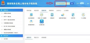 个人所得税如何申报(税务系统个人所得税如何申报)