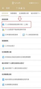 个人所得税如何申报(税务系统个人所得税如何申报)