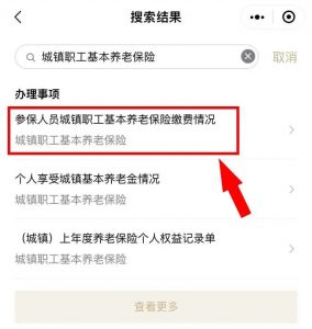 查个人所得税(查个人所得税电话是多少)