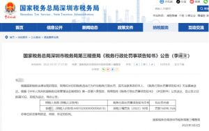 补缴个人所得税(个人所得税app 补缴个人所得税)