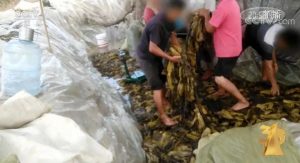 无锡个税计算器(无锡个人税后工资计算器)