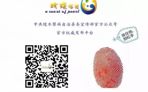 个人所得税注册(个人所得税注册码怎么获得)