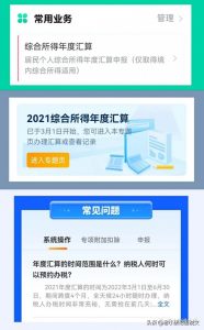 个人所得税申报软件(个人所得税申报软件客服电话)