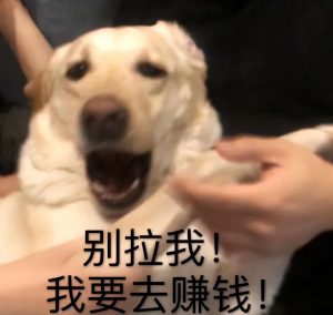 提前还房贷计算器(提前还房贷计算器在线计算明细)