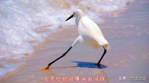 亚马逊优惠码在(亚马逊优惠码在哪里填)