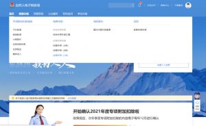 个人所得税 上海插图1 个人所得税 上海