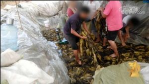 合肥房贷利率计算器(合肥房贷计算器2019在线)