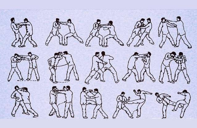 洪拳-洪拳十二桥手可以自学吗