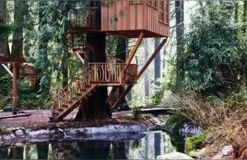 木屋建造-如何在野外里搭建一个小木屋