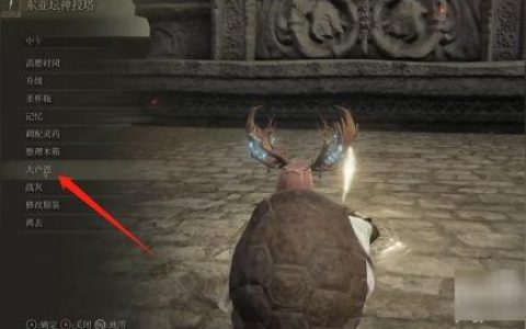 艾尔登法环 不能召唤骨灰-艾尔登法环可以丢材料给队友吗