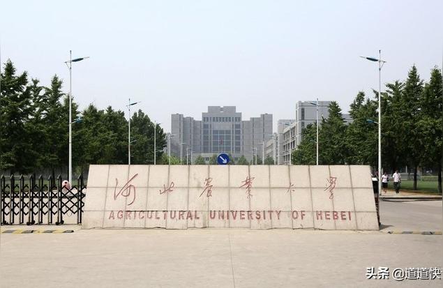 河北农大网-河北农业大学与河北地质大学比较