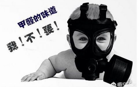 新装修的房子多久可以入住-装修多久入住