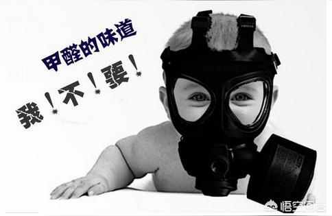 新装修的房子多久可以入住-装修多久入住
