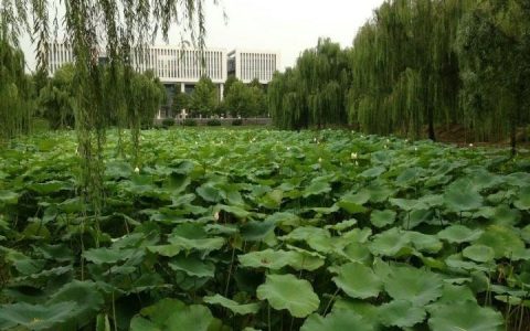 邯郸学院网-邯郸学院的专科有什么