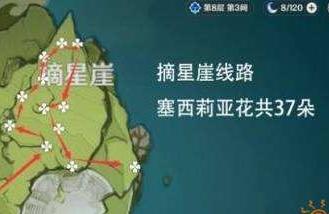 原神塞西莉亚花在哪-原神塞西莉亚苗圃如何解锁