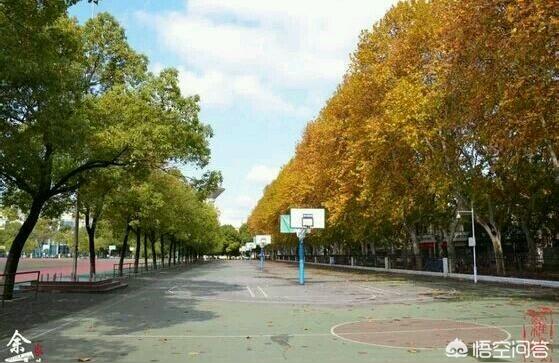 武汉交通学校-武汉交通学校航空服务专业好吗