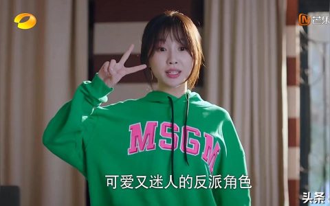 魏娟蔡敏敏-蔡敏敏是什么电视剧