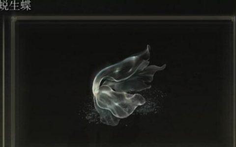 艾尔登法环 健壮度-107艾尔登法环法师需要多少信仰