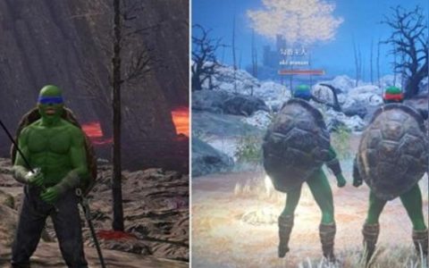艾尔登法环 捏脸-艾尔登法环左手右手有啥区别