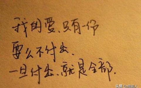 明知你的他没有-却还执意要陪他走完一段路的那个人