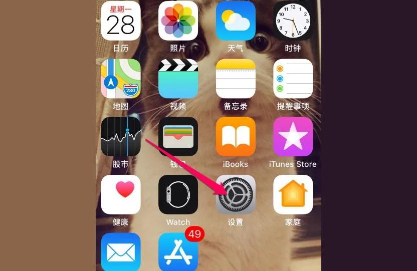 iphone如何分屏操作-苹果相机怎么分屏