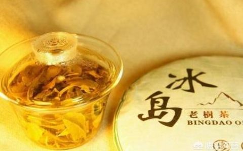 2022古树茶价格表-云南七子饼老树普洱茶3000克的