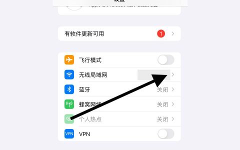 iphone如何看ip地址-苹果设备ip是什么