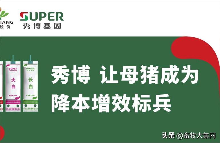 022生猪价格走势图-请问有经验的养猪人"