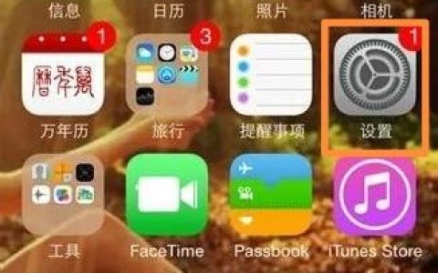 iphone怎么上外网-苹果手机怎么使用vpdn网络