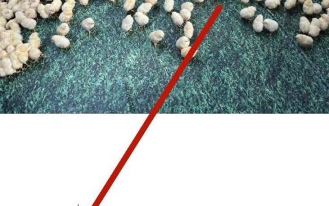iphone相簿怎么隐藏-苹果手机怎么设置隐藏相册