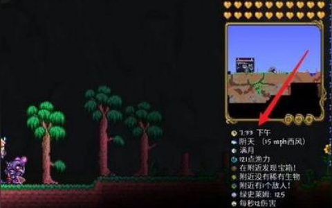 steam 泰拉瑞亚-steam泰拉瑞亚买哪个版本